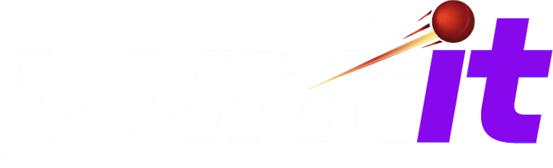 PuntIt logo